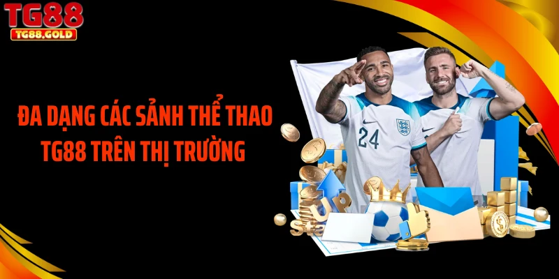 Đa dạng các sảnh thể thao TG88 trên thị trường